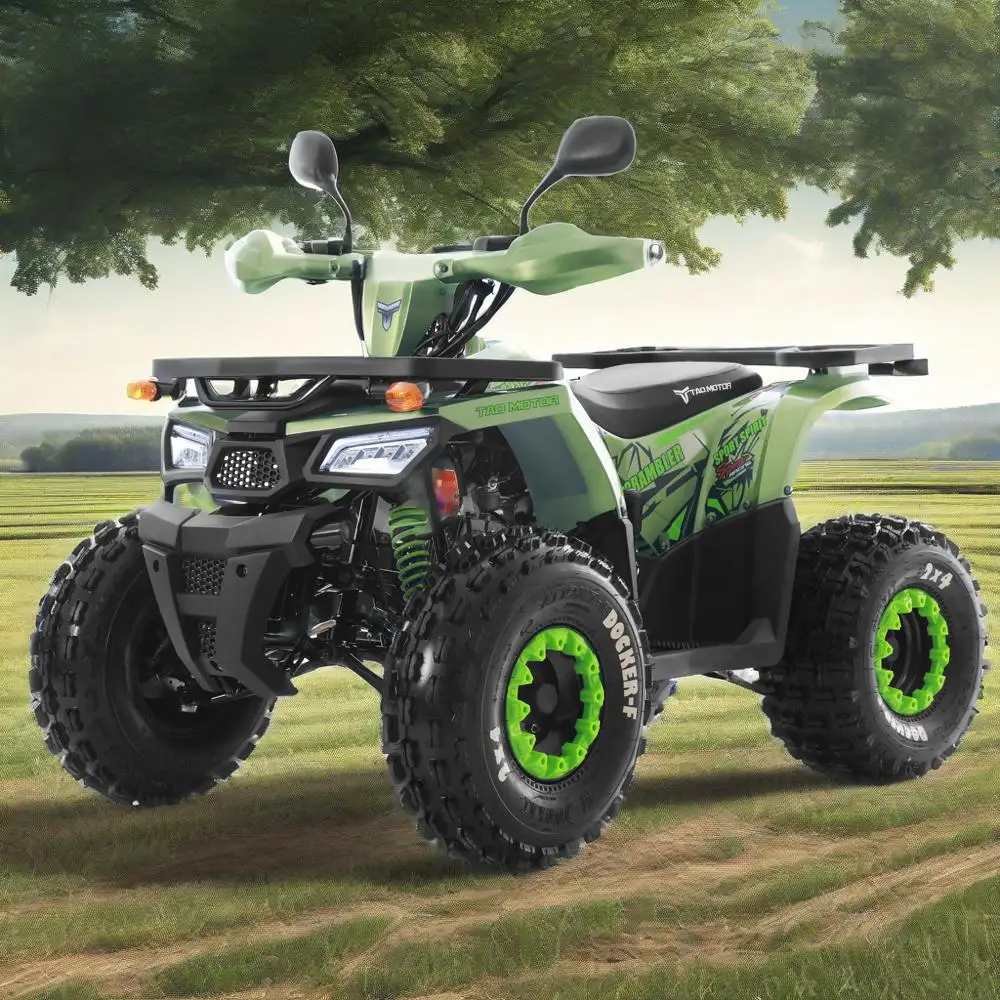 Tao Motor 2025 New Off Road Farm Cheap 4x2  ATV Quad Bike Gas Powered Cuatrimoto Quadricycle Automatic  Chain Drive ATV 125cc