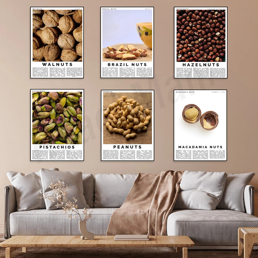 Pecan, brazil nut, peanut, walnut, macadamia, almond, hazelnut, pistachio, hazelnut, nut typographic poster decoration gift