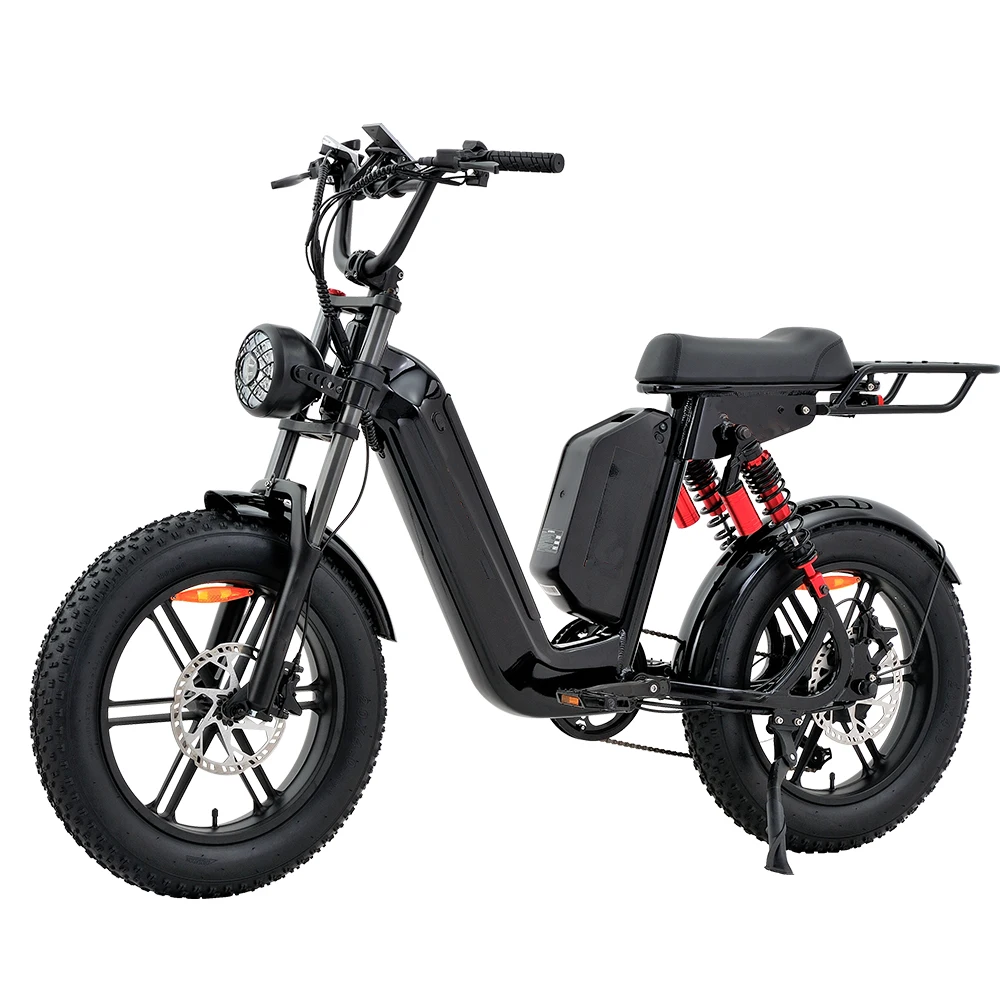 

SXLL Double Bettery Внедорожный электрический горный велосипед 48 В 30 Ач Ebike Электрические толстые шины 20 дюймов Горный электровелосипед