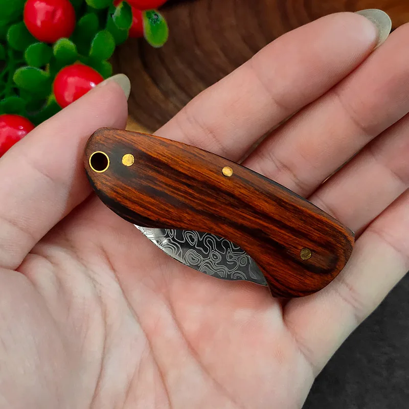 Hand Forged Folding Knife Stainless Steel Mini Knife Multifunctional Small Knife Fruit Knives Fish Filleting Kitchen Knives