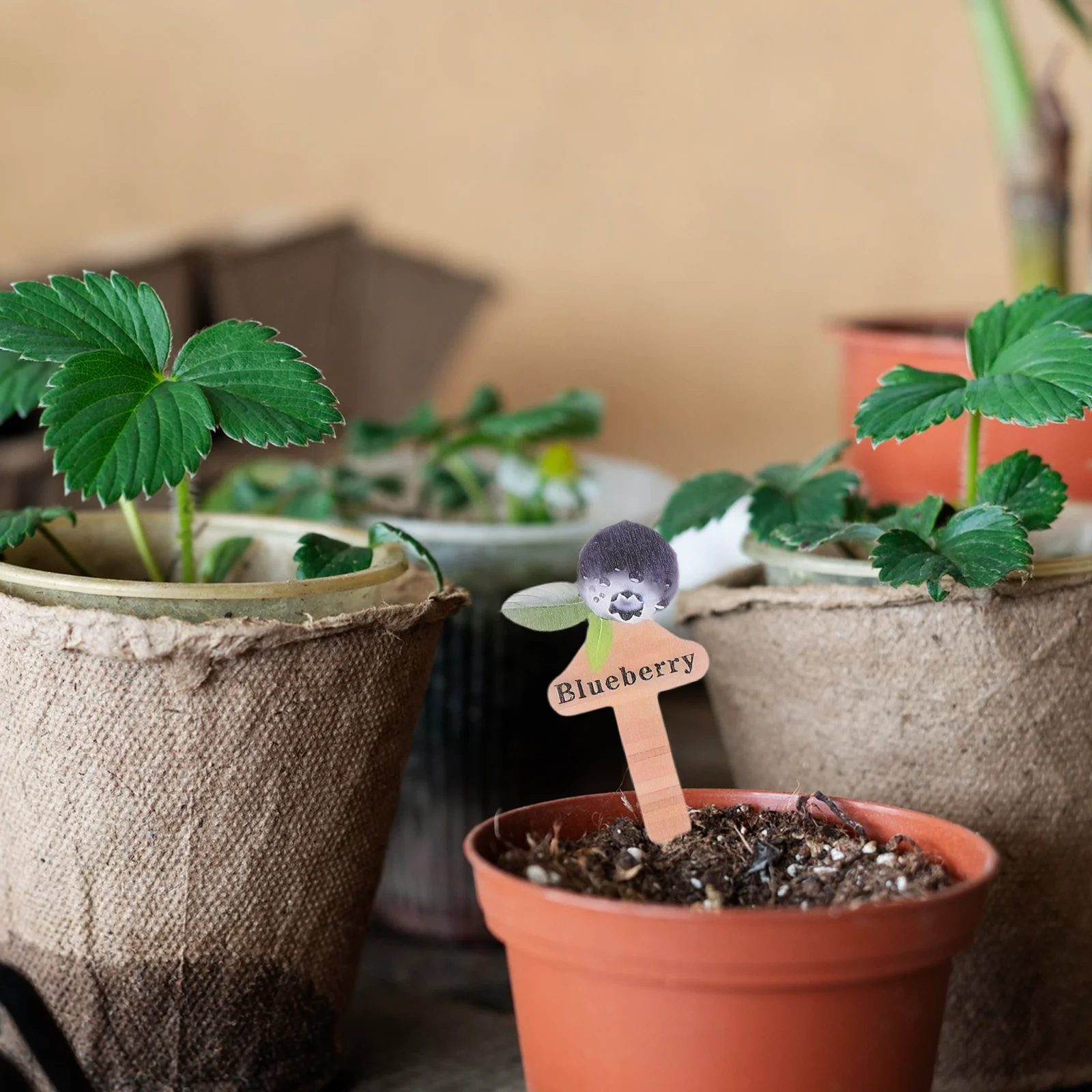 

12Pcs Fruit Plant Markers Wooden Garden Labels Reusable Name Tags for Potted Nursery Plants Outdoor Garden Decoration Signs