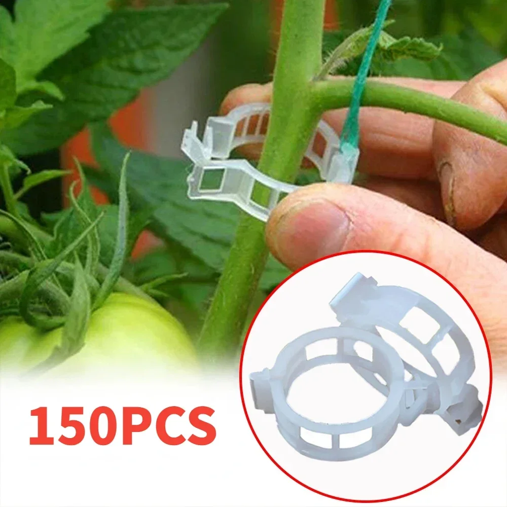 150Pcs Plastic Plant Support Clips Reusable Plant Vine Protection Grafting Fixing Tool for Vegetable Tomato Garden Supplies