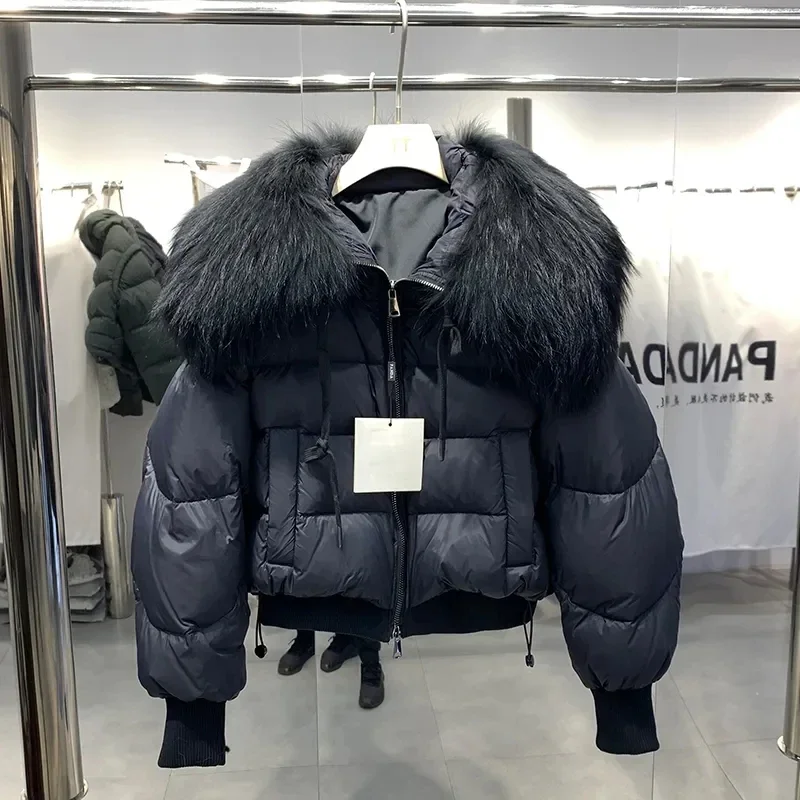 Novo inverno real gola de pele de guaxinim pato branco para baixo jaqueta moda quente grande gola de pele puffer casaco feminino ganso para baixo jaqueta