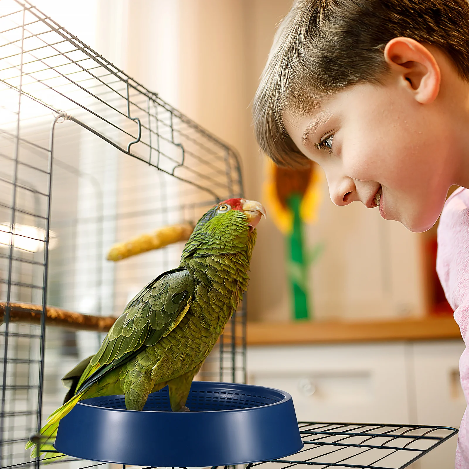 

4 pcs Plastic Pigeon Nest Round Bird Breeding Basin Reusable Stable For Egg Laying Hatching Small Bird Nests Cage Accessories