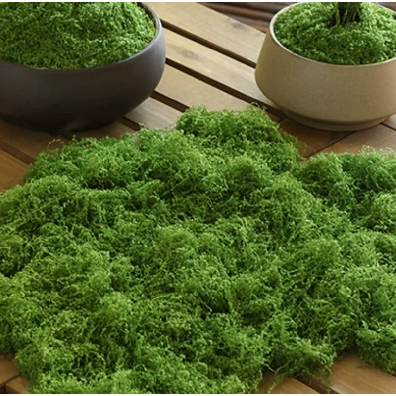 1 Stuk Kunstmatig Mosgrasmat N - Terrarium Moss Art recensie en prijs