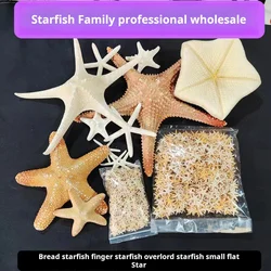 Natural Shell Conch Window Landscaping, Mediterranean Decorative Bread Star Micro Landscape, Furnishing articles Starfish