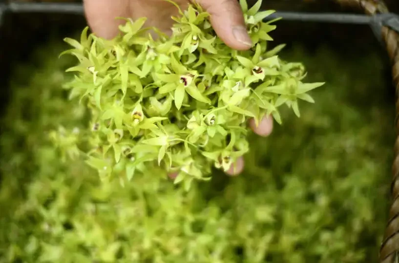 

36V 15Ah 10S3P 15Ah 21700 battery pack built-in 15A BMS, 250W-500W scooter, bicycle battery