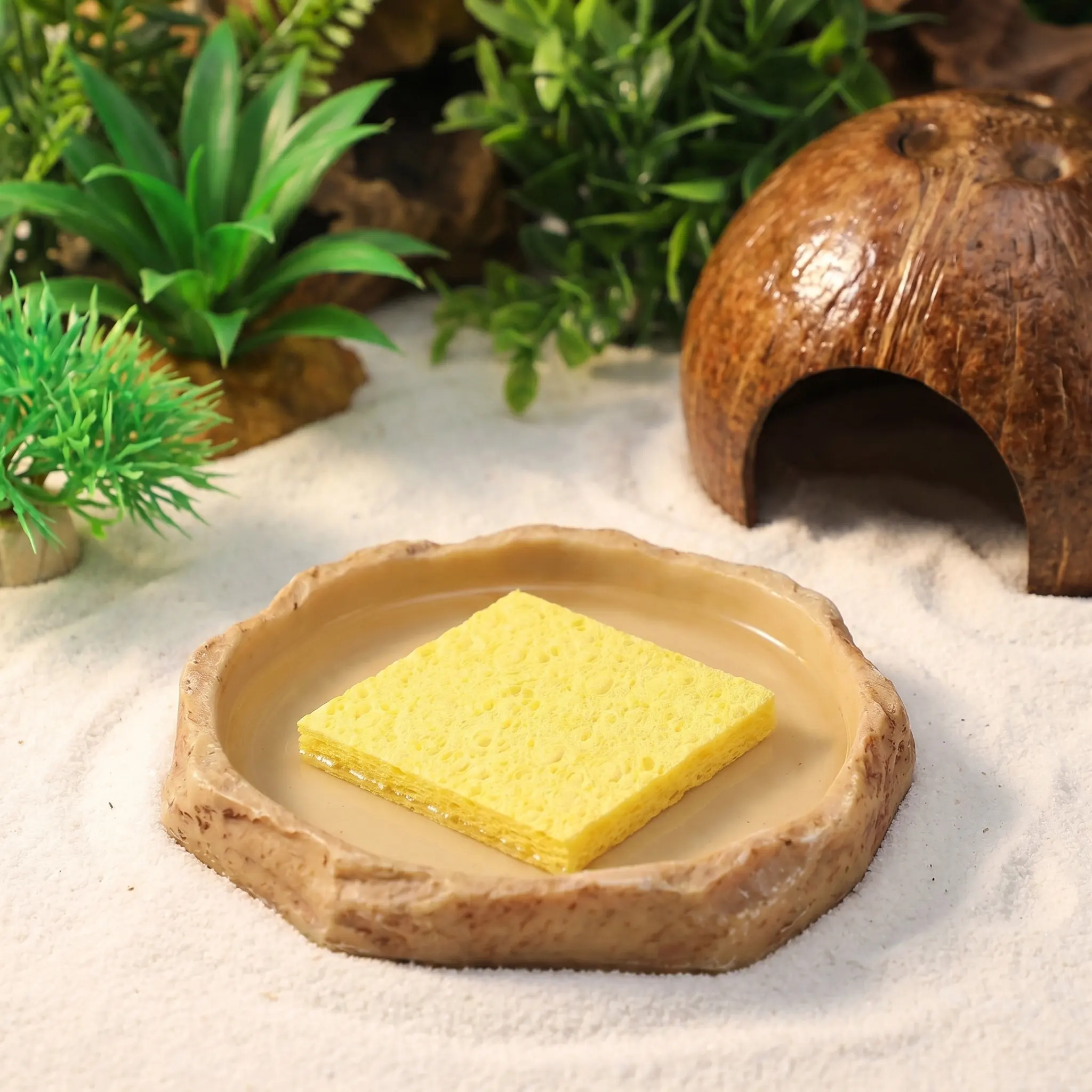 20Pcs Natural Sea Sponge Hermit Crab Moisture Retention Sponges for Reptile Tank Water Dish Maintaining Balanced Habitat