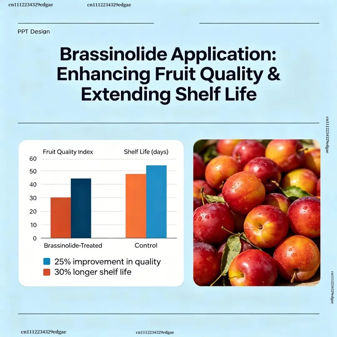 Brassinolide Plant Growth Regulator Foliar Organic Fertilizer