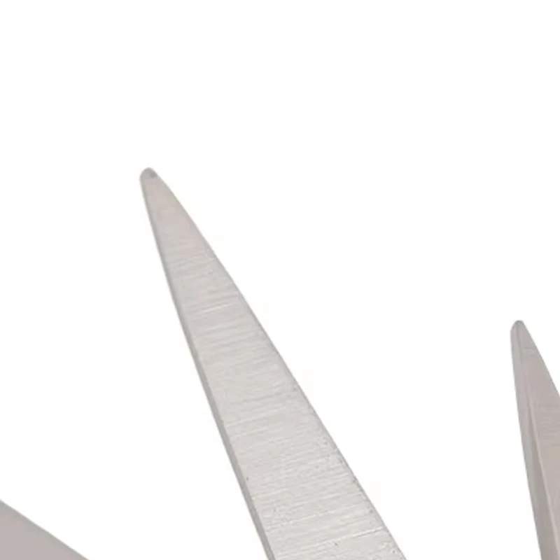 

2pcs Dental Scissors, High-Precision Straight Eye Surgical Stainless Steel for Microsurgery