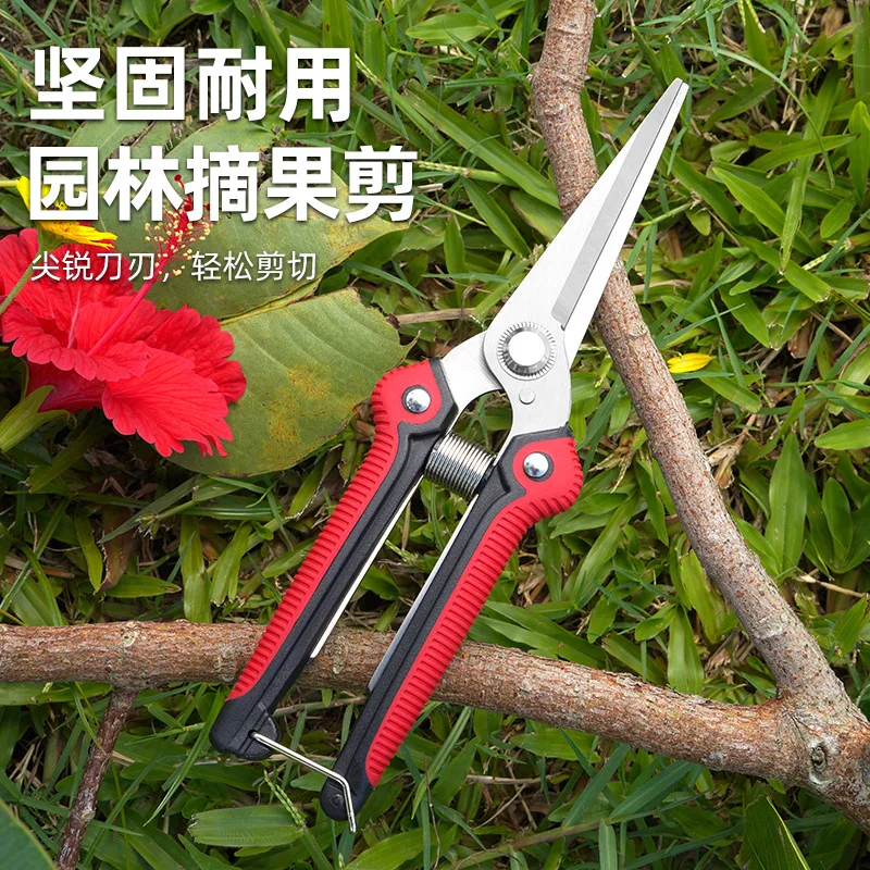 Fruit Picking Shears Garden Rare Fruit Picking Grape Pruning Shears Specialized Scissors for Fruit and Vegetable Picking Shears