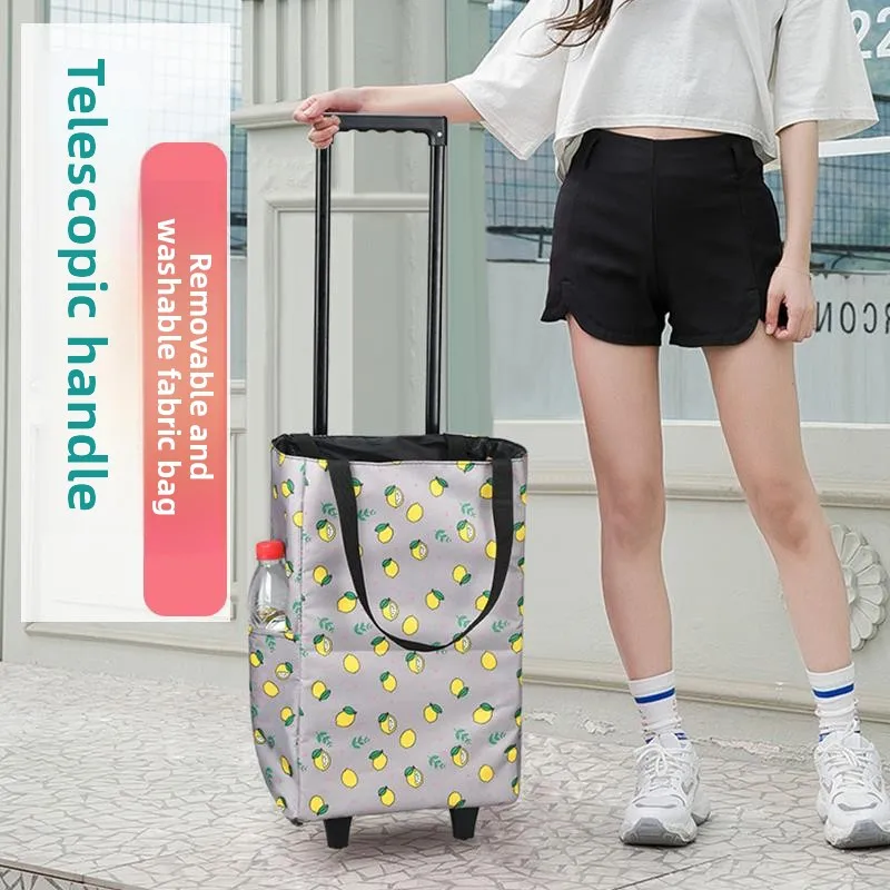 carrello-portatile-espandibile-per-la-freschezza-per-uso-domestico-leggero-con-manico-telescopico-carrello-piccolo-per-la-spesa-di-verdure