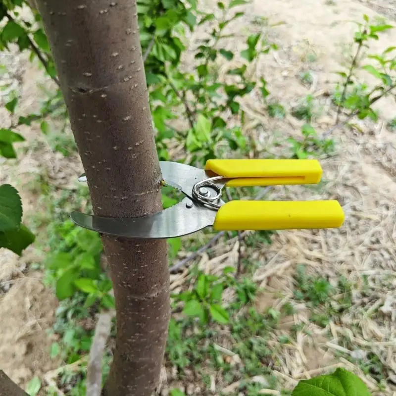 [C] 1Pcs  Stripping Peeling Knife Garden Tree Branches Ring Barking Cutter Girdling Pruning Shears