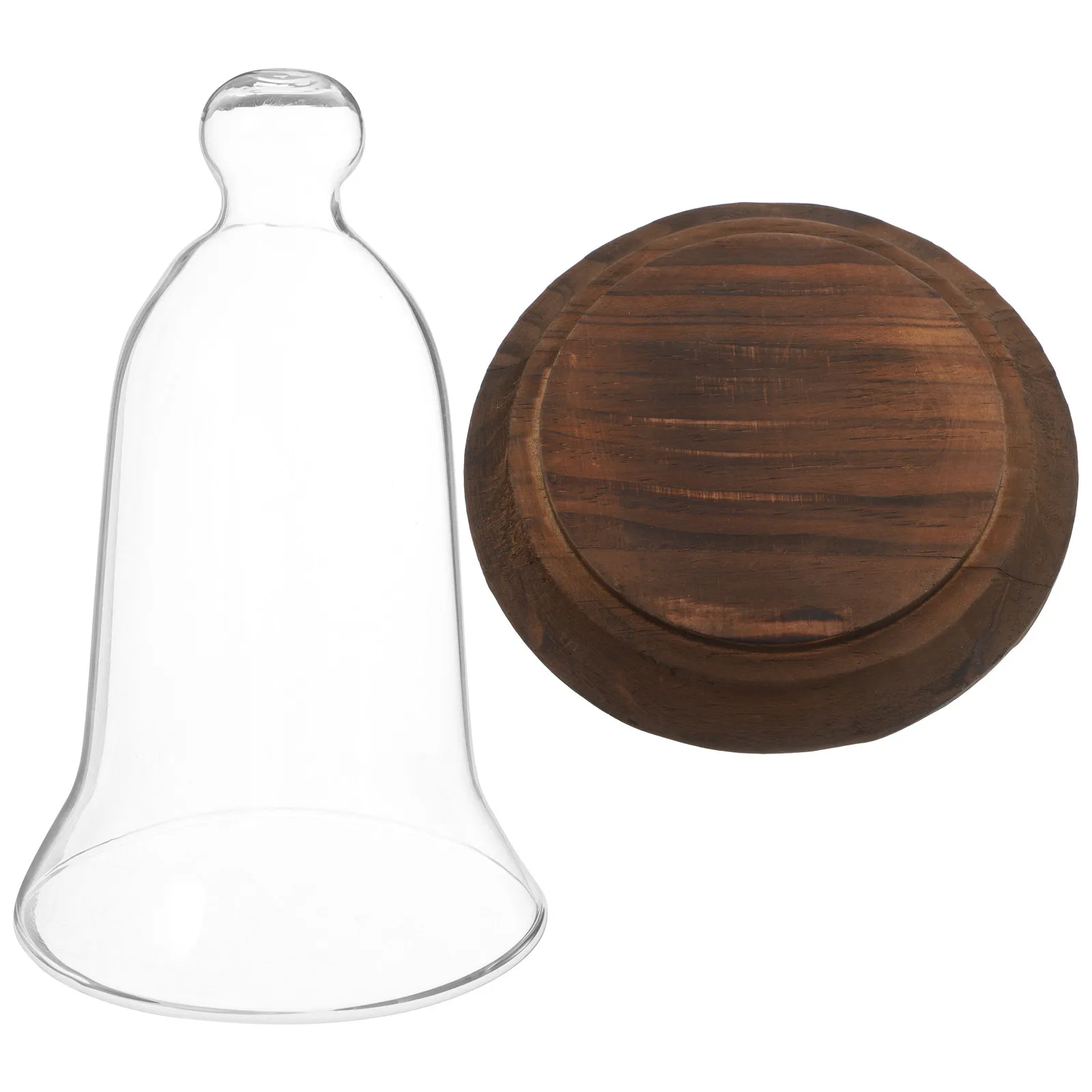 Glass Dome Clear Cloche Display Bell Jar for Flower Succulents Preserved Plants Table Decoration Wooden Base Clear Display Dome