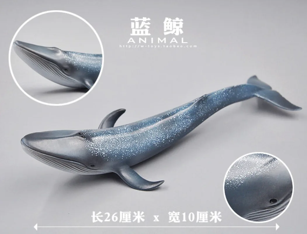 Blue Whale Desk Ornament Models Genuine Brand New Lifelike Animal Themed Model Toys
