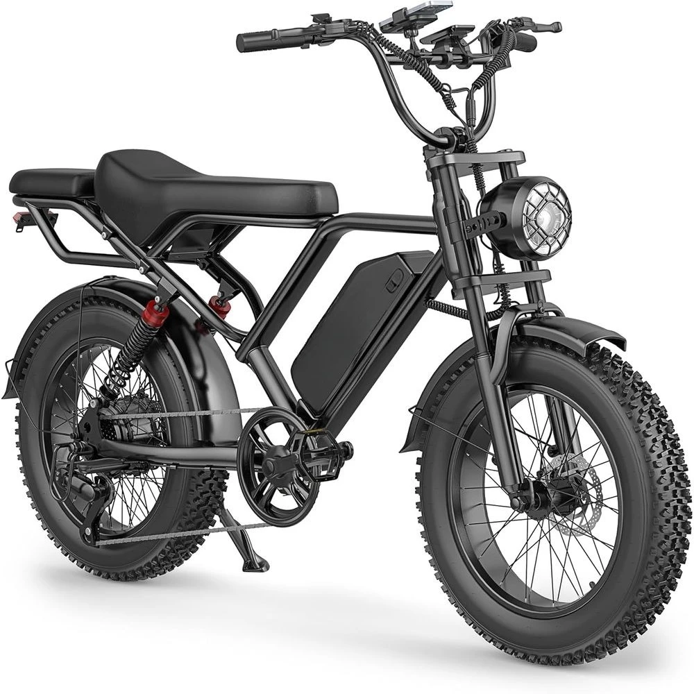 

Fat Tire Electric Dirt Bike 750w for Adults 20" Full Suspension Electric Motorcycle Ebikes 48V 18AH Removable Battery,31MPH Top