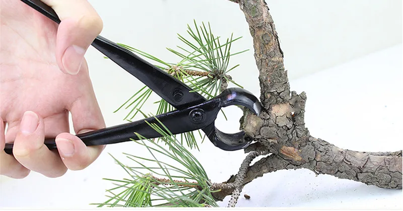 15Pcs Bonsai Beschneiden Werkzeug Set Carbon Stahl Umfangreiche Cutter Schere Kit mit Nylon Fall Für Home Garten Hand DIY beschneiden Werkzeug – Detail 6