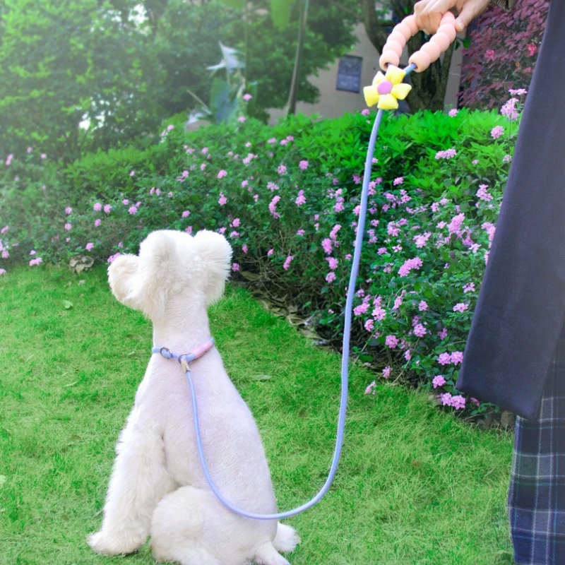 Dog P Rope Dog Training Anti-explosion Rush Out Walking Dog Leash Anti-break Free Dogs Chain Small Medium and Large Collar Perro