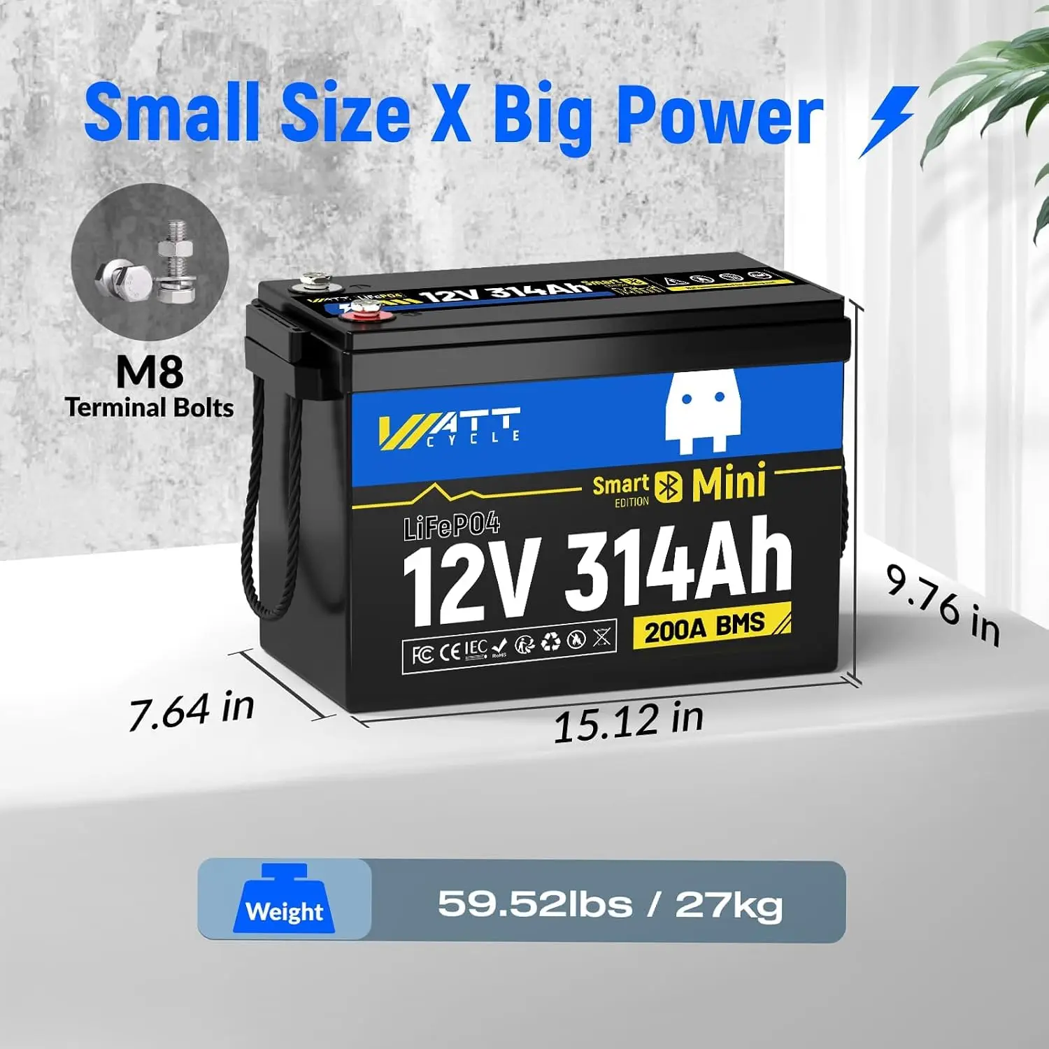 12V 314Ah Mini LiFePO4 Battery 200A BMS Bluetooth 4.01kWh Energy Storage, Customized