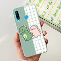 case-c67
