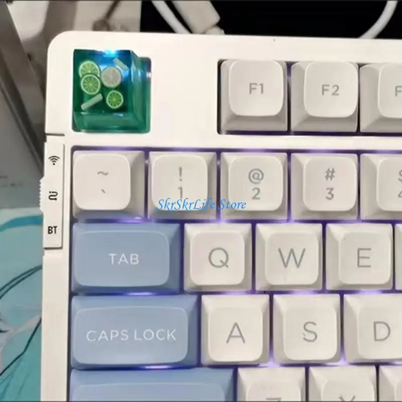 

E65E Resin Keycaps OEM Profile with backlights For Mechanical Keyboards Translucently Keycap Personality Pattern