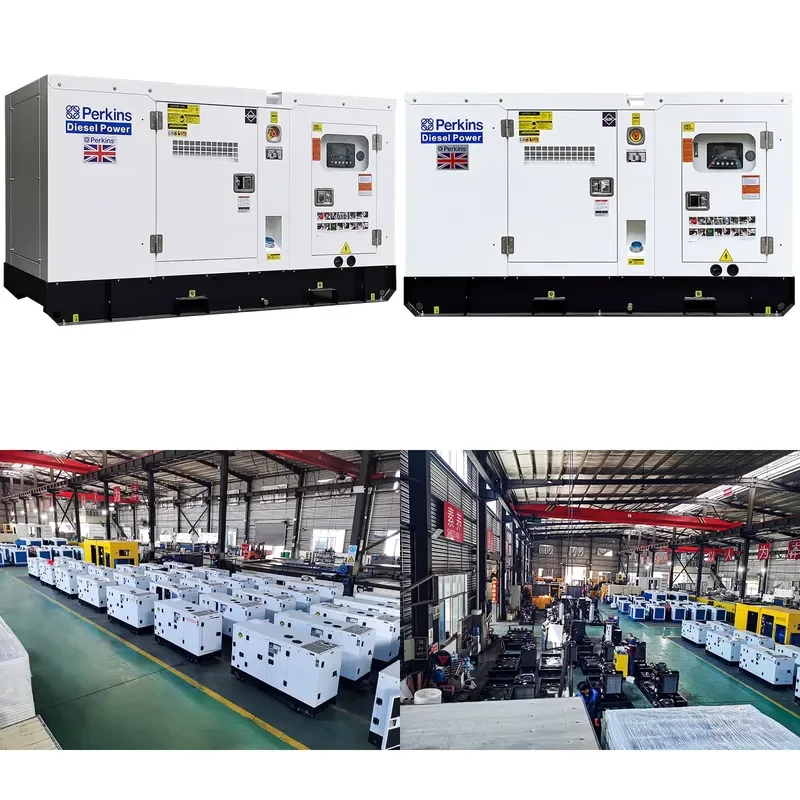 Factory Offers Low-priced Professional Supply of 100kva 80kw Silent Generator Sets