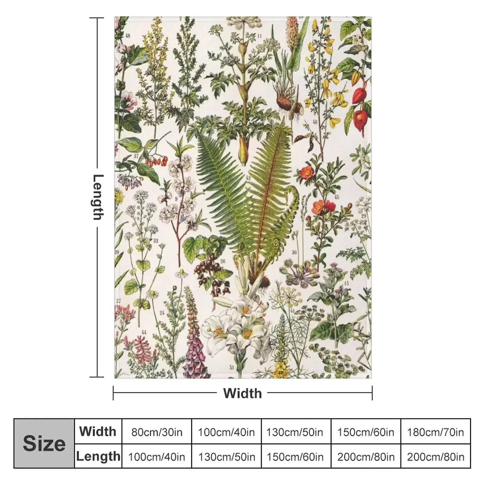 Adolphe Millot - Plantes Medicinales B - French vintage poster Throw Blanket Sleeping Bag Flannel Bed covers Beautifuls Blankets