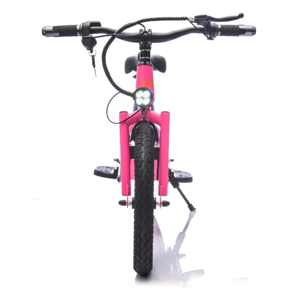 دراجة ترابية كهربائية للأطفال تصل إلى 12.43 ميجا هرتز 24 فولت، محرك طاقة 300 وات، دراجة توازن كهربائية بعجلات 16 بوصة، دراجة نارية كهربائية #4