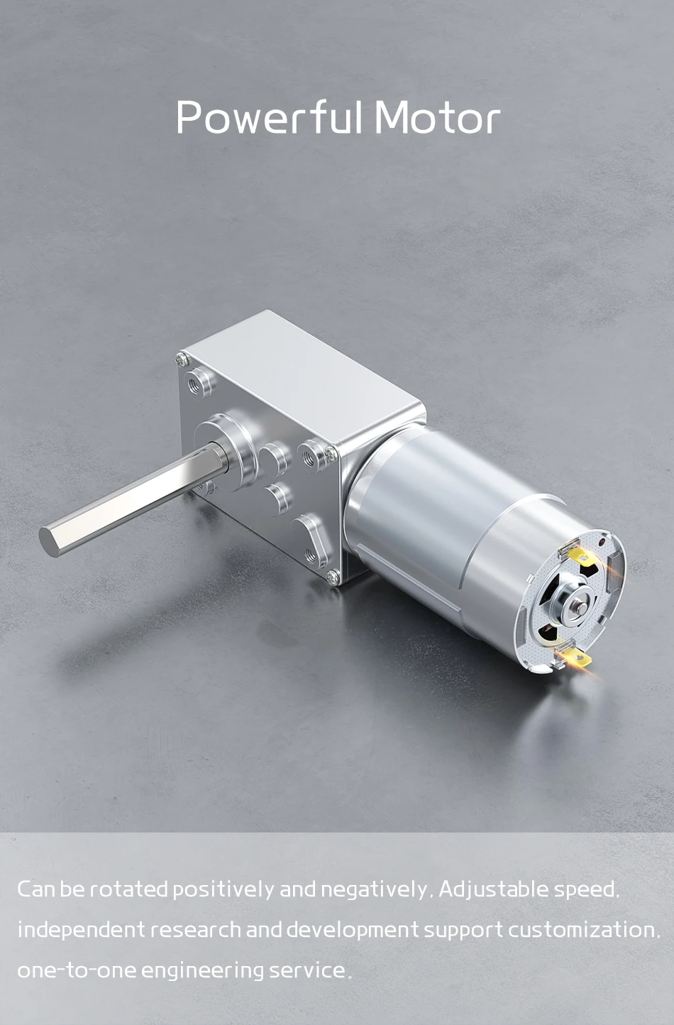 5840-555 Miniatur-Bürsten-Gleichstrommotor 12V24V Unidirektionaler Langachsenmotor mit D-Achse, Vorwärts- und Rückwärtsschaltung, Drehzahlregelung – Detail 12