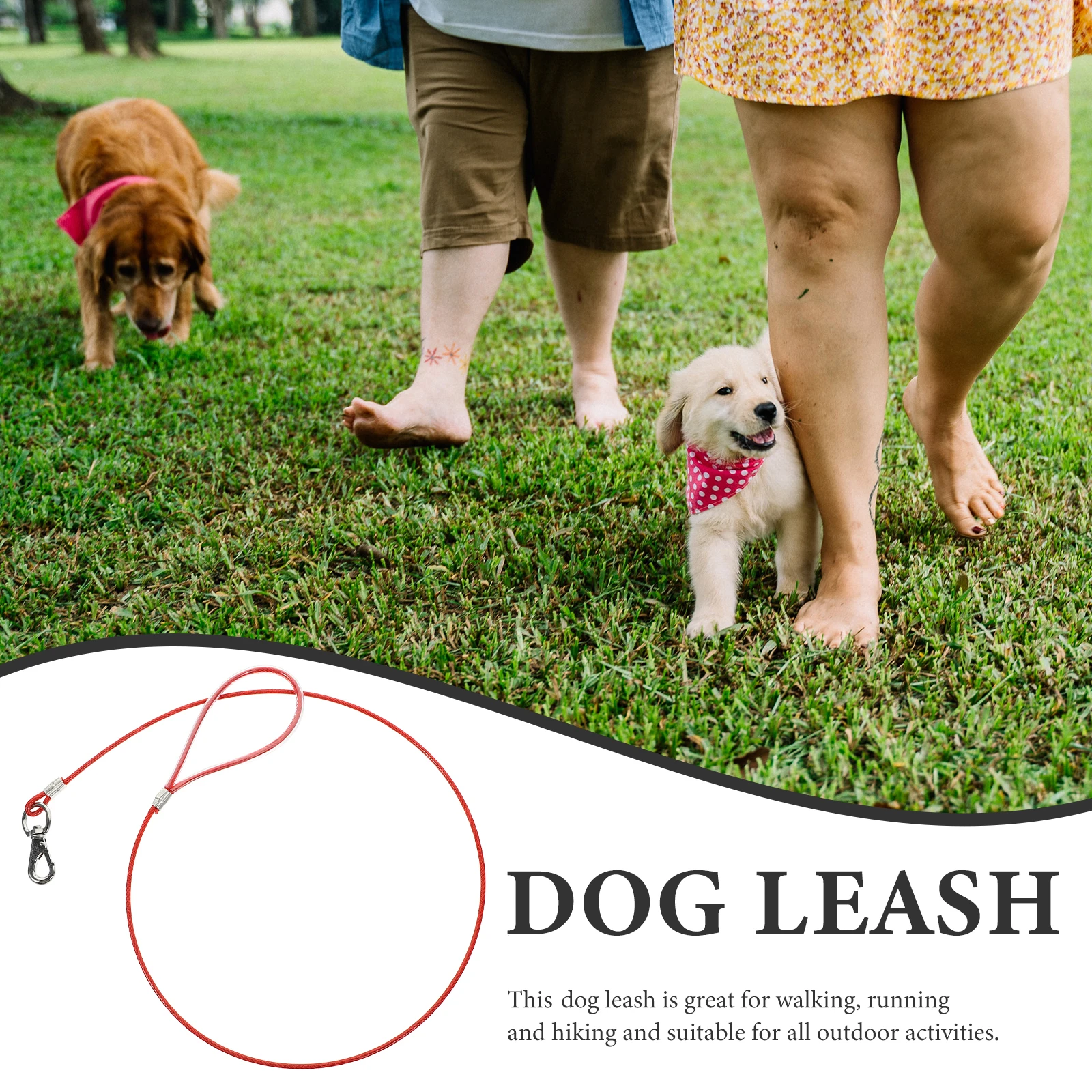 

Chew Proof Dog Leash Metal Steel Wire Wear-Resistant Puppy Traction Rope Lightweight Durable Pet Chain for Safety and