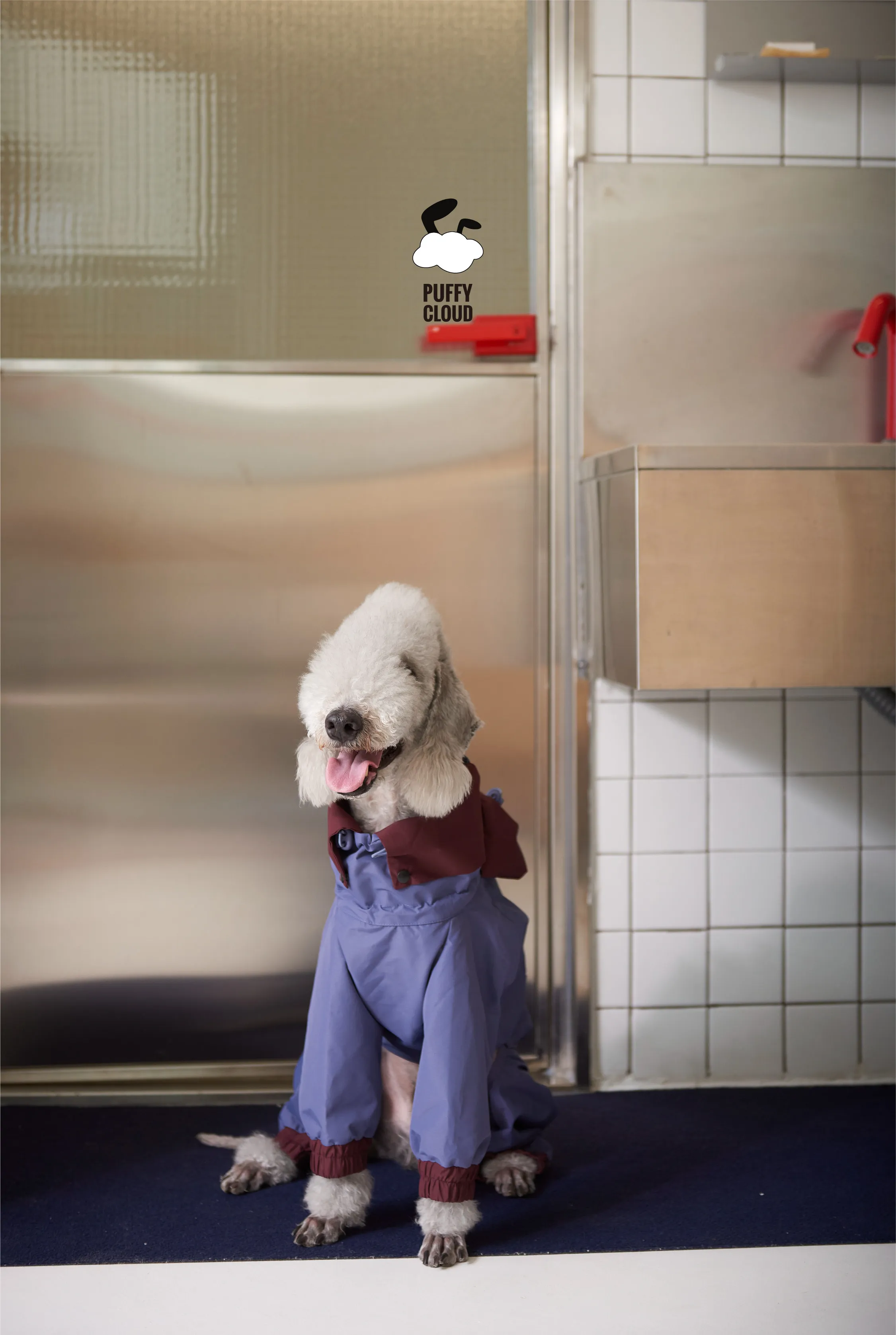 Winddicht jack voor Italië Greyhound Winterfluweel Waterafstotend Warme regenjas 4-poots sweatshirt voor Bedlington Terrier