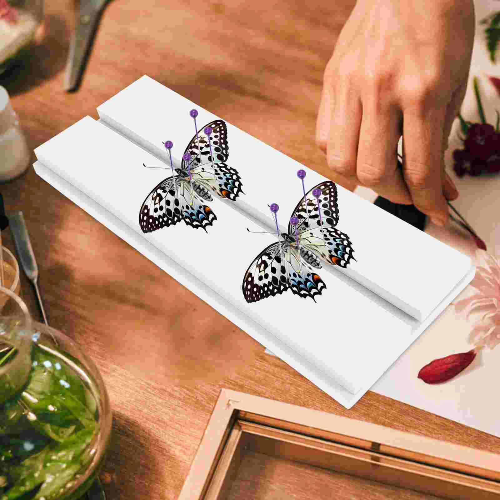 Butterfly Specimen Production Insect Mounting Board Pinning Showcase Kit for Beginners Plastic Spreading Professional