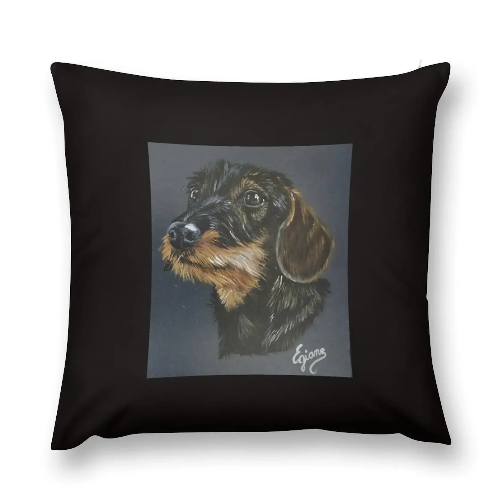 Dachshund with hard bristles Throw Pillow Pillowcases Bed Cushions christmas cushions covers luxury home accessories pillow