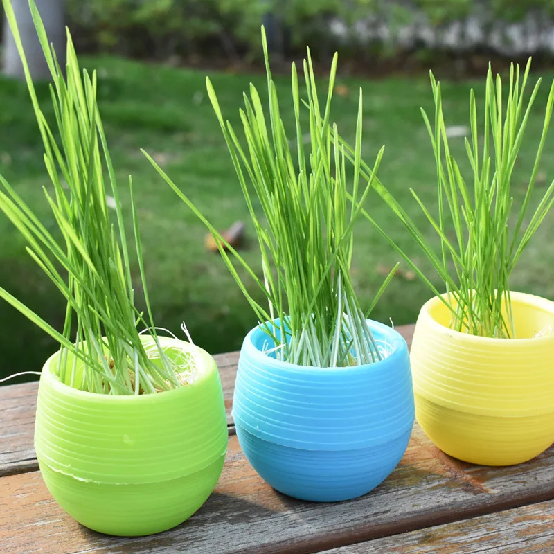 Plastic Color Breathable Mini Gardening Plant Tools Household Balcony Desktop Greenery Succulent Flowerpot Flower Pot Set