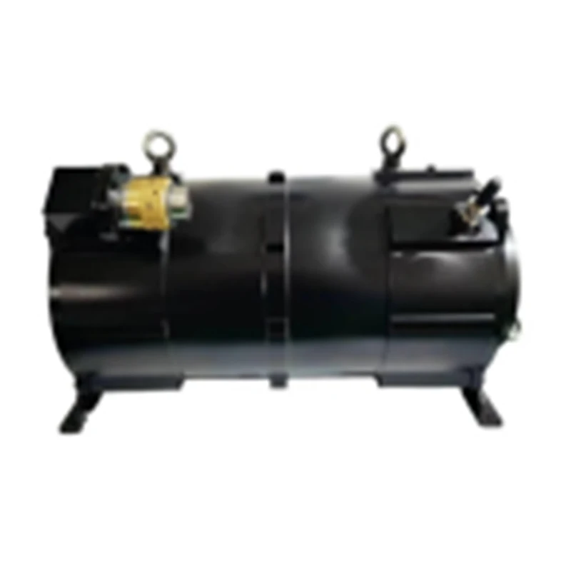 STF High Volta Electric Motor Submersible Electric Motor