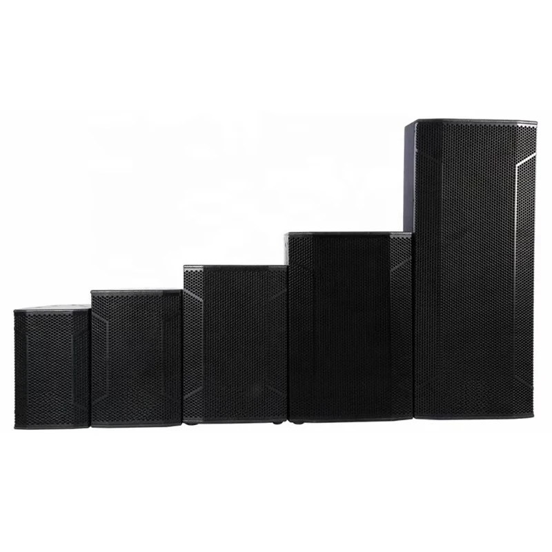 15 Inch Birch Plywood Professional PA Speaker Church Public Address DJ Sound System