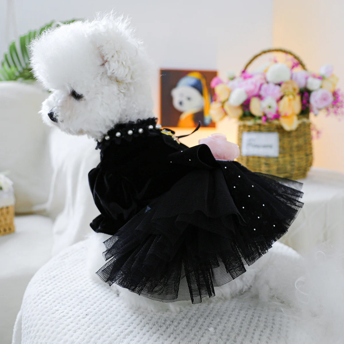 classic dog pet Dress Black Sahara Rose Wedding Dress for Small Dogs  Tutu Skirt Princess Skirt