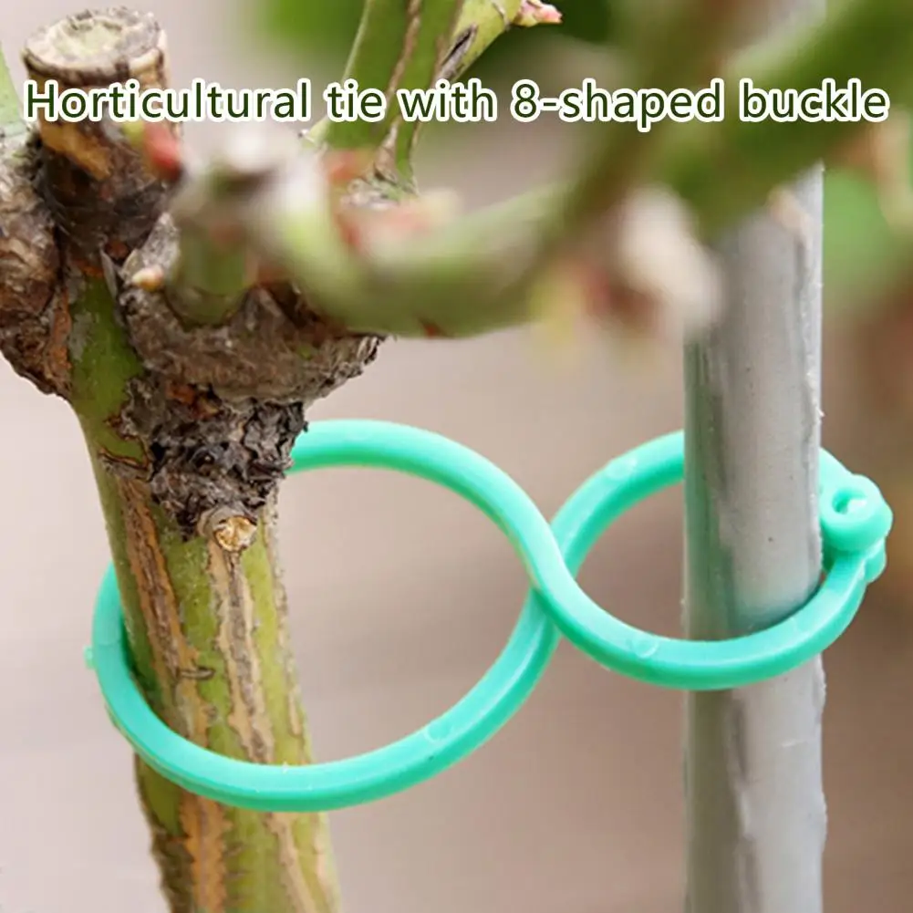 100/200 Pcs Plant Support Clips Gourd Buckle Clips Butterfly Buckle Clips Secured Spiral Buckle Fixing Clip for Climbing Plants