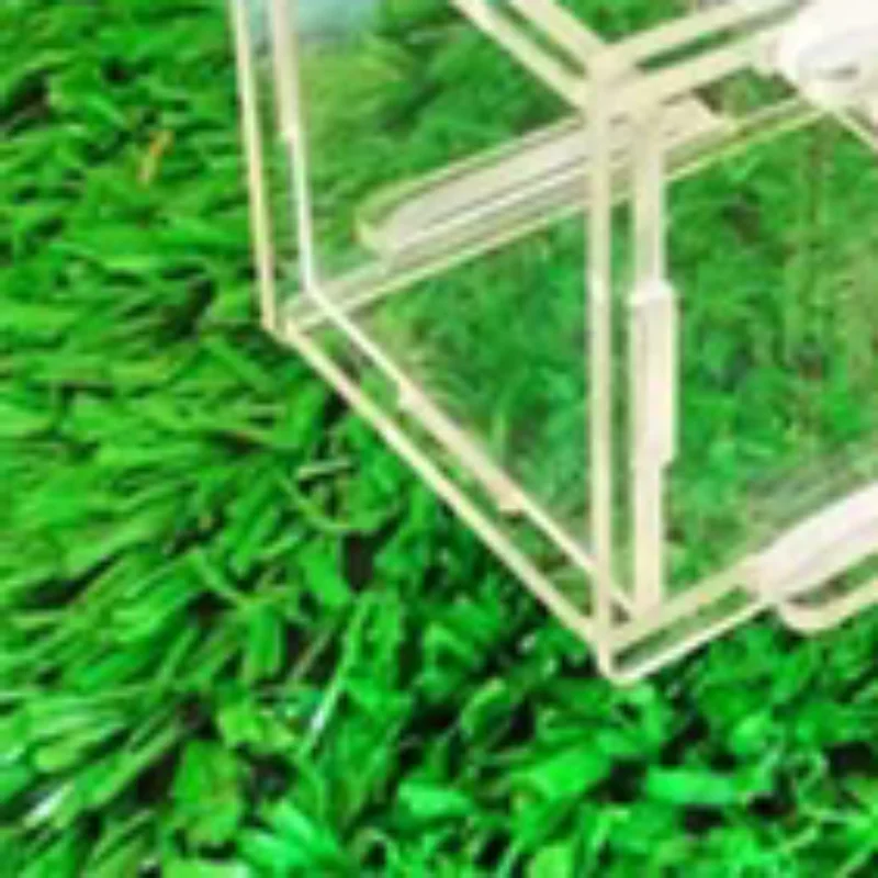 Acrylic High Transparent Ant Activity Area Test Tube Connection Nest DIY Ant Farm Feeding Box 15/18mm Caliber Test Tube Nest
