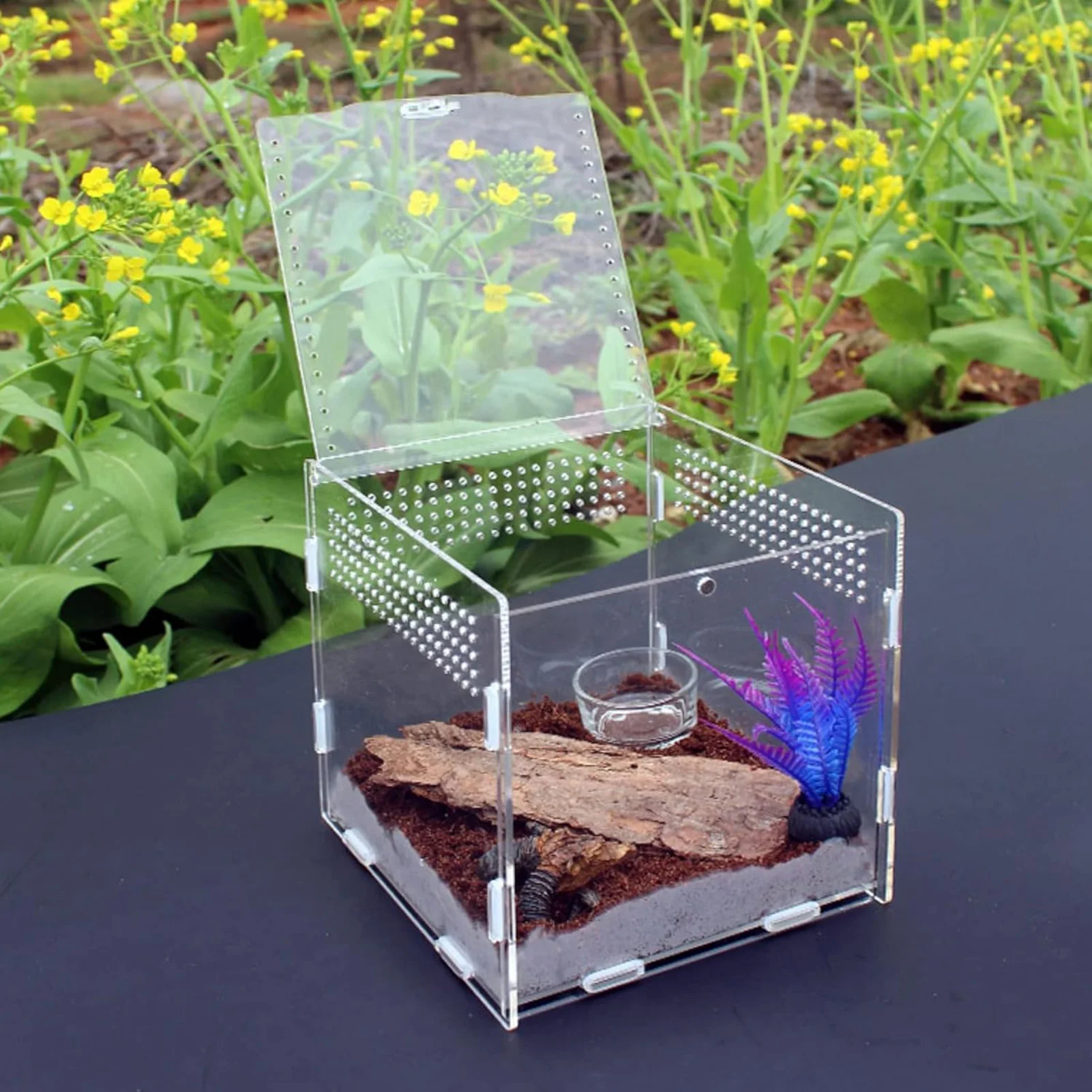 1 Pack Reptile Enclosure Transparent Acrylic for Hermit Crab Gecko Turtle Habitat Box Ventilated Magnetic Assembly Tank