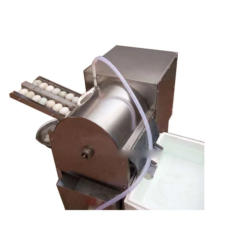 Máquina comercial de lavar ovos de pato, aço inoxidável, 4000 peças/hora, máquina de limpeza de ovos de galinha, 500w