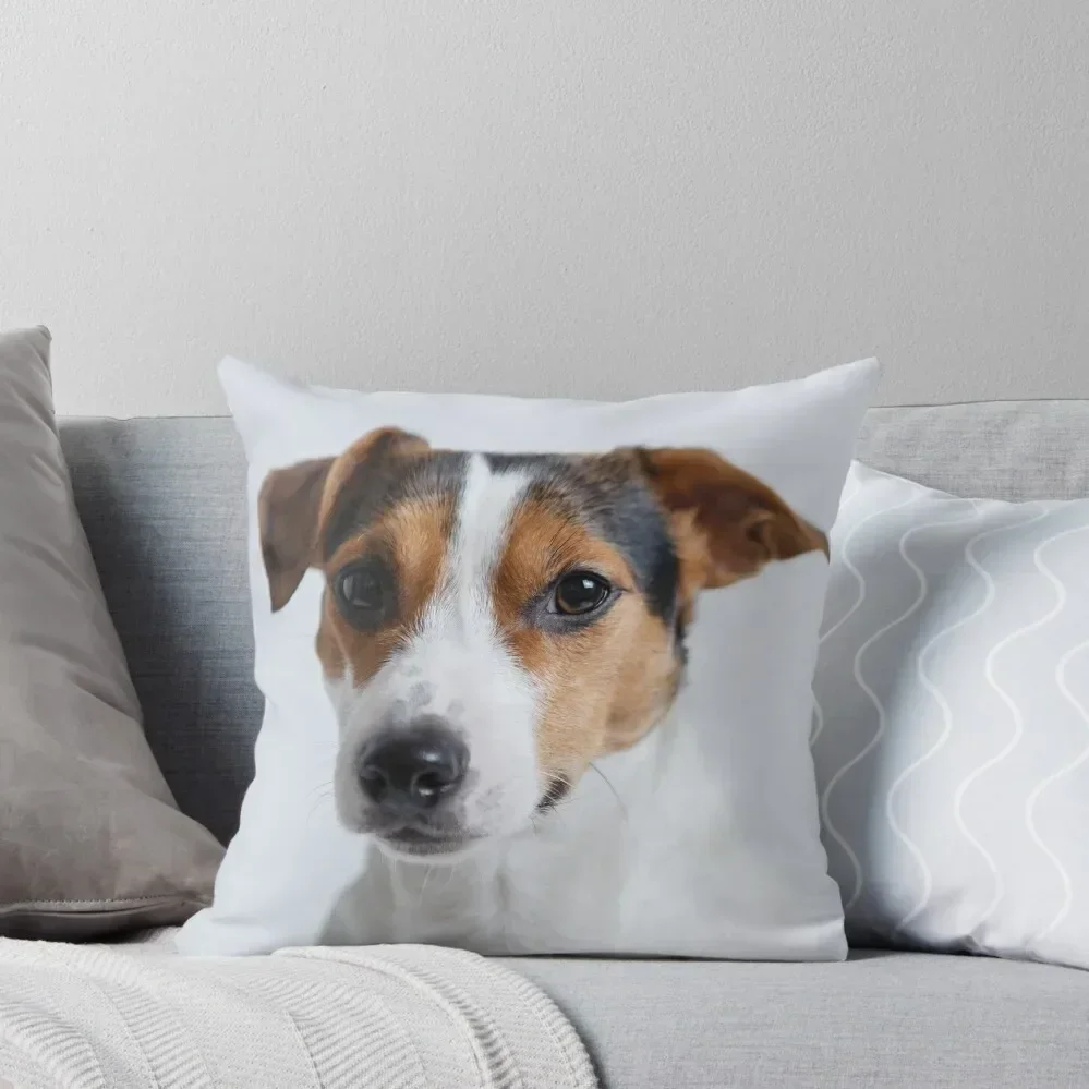 Jack Russell Mother Throw Pillow pillows decor home Decorative Cushions For Living Room Luxury Sofa Cushions pillow