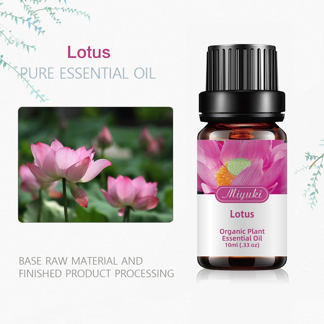 

Lotus essential oil Lotus Essential Oil Delaying Senescence Reduce Oil Secretion Relax Lotus Oil10ml Lichee Aroma Oil Organic Ol