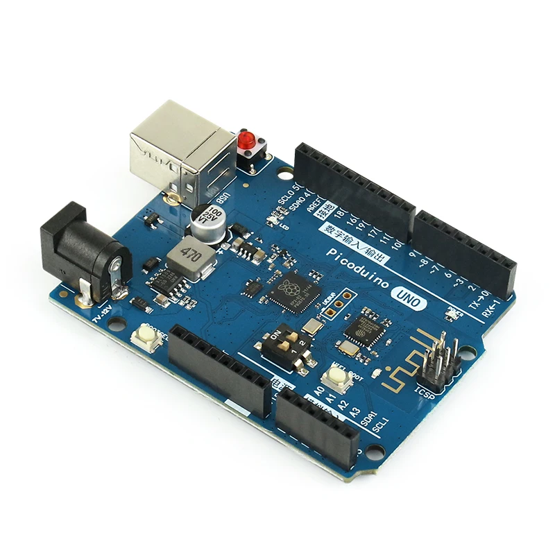 Raspberry PI RP2040 development board MicroPython programming iot development Pcio