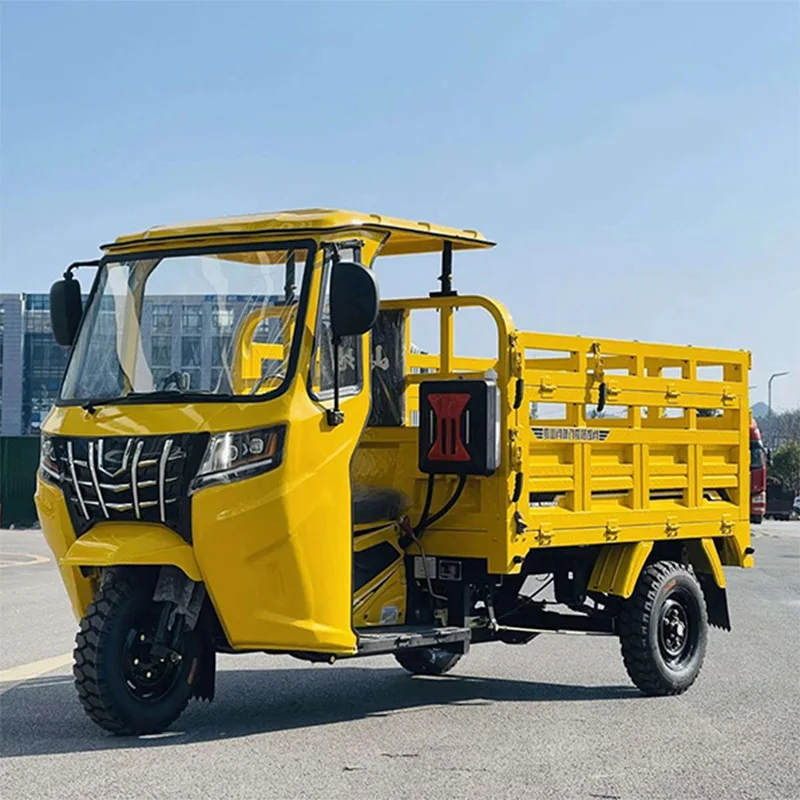 China Hot Selling Electric Cargo Trike Lithium Battery Tricycle 3 Wheel Electric Tricycle