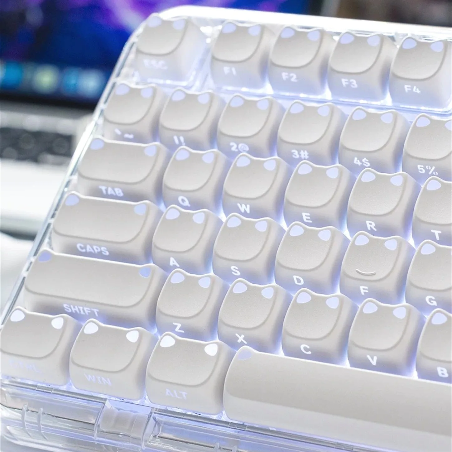 Cute Cat MAO Profile PBT Keycaps 113 Keys White Backlit Side Printed Keycap Set for 61 68 87 108 Mechanical Keyboard
