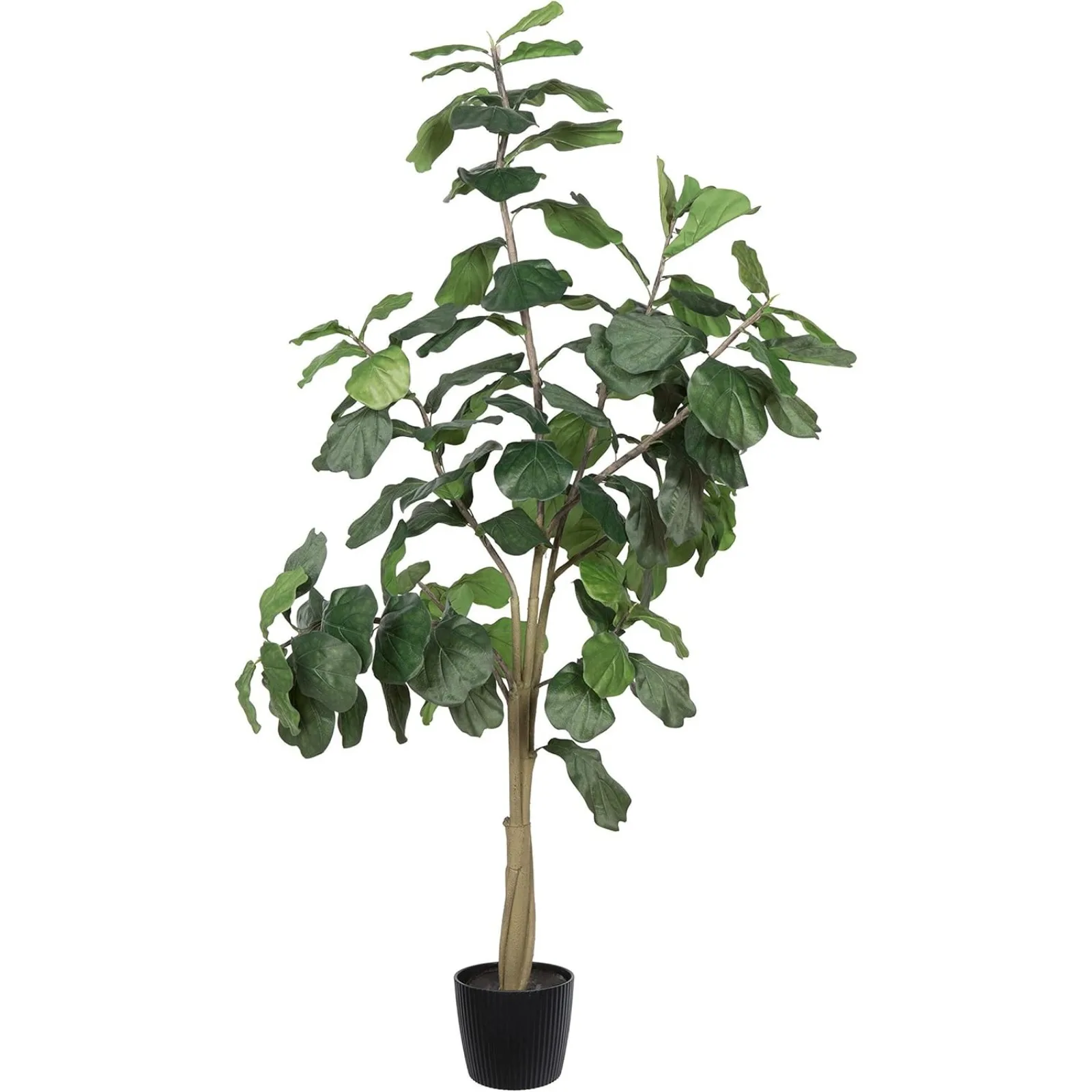 

US 8ft Artificial Potted Fiddle Tree 114 Large Fiddle Leaves - Green Silk Artificial Indoor Fiddle Plant Single Stem