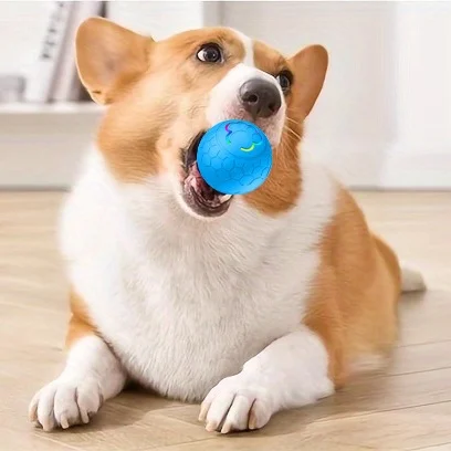 

2025 New Arrival Smart Electric Dog Chew Ball Funny Simple Interactive Modern Sport Pet Chew Toy Small Plastic 5cm Box Cats