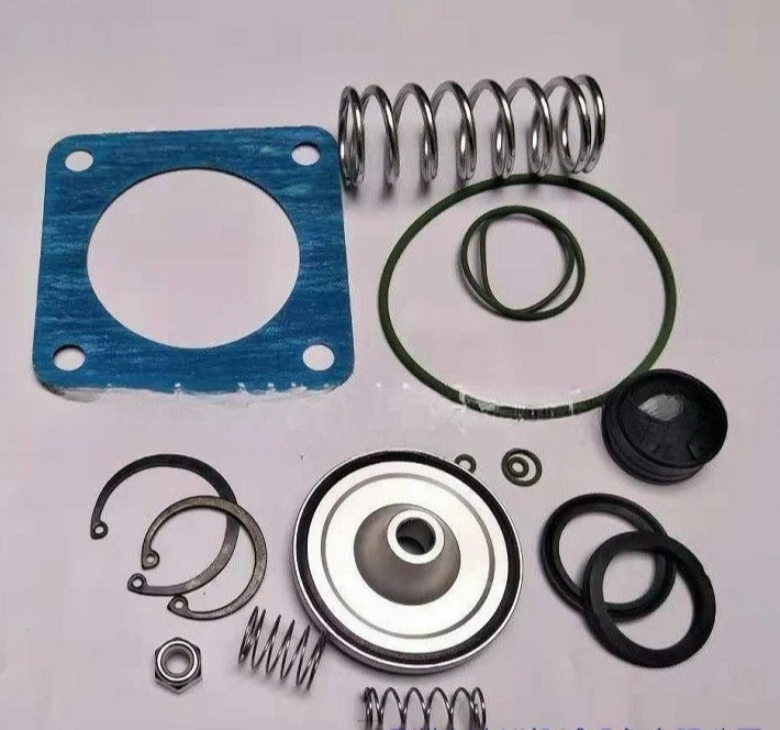 

Applicable To C2901000201 Intake Valve Maintenance Kit