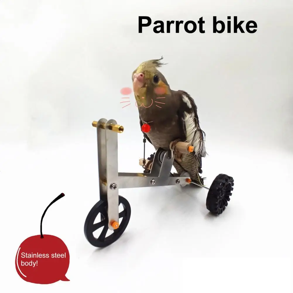 

1 Set Parrot Training Bicycle Toy Funny Bird Cockatiel Parakeet Metal 4-Wheels Bike Foot Exercising Educational Toy Pet Supplies